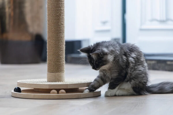 Kraapimispost Zavi pruun Ø39,5x h62cm