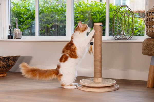 Kraapimispost Zavi pruun Ø39,5x h62cm