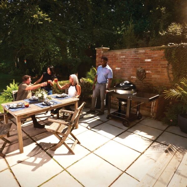 Söegrill Napoleon Professional 22" aluskäruga 57cm