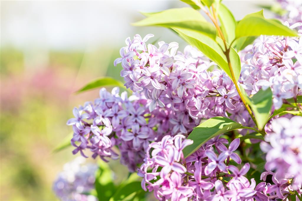 1649a6d669efc3436250933f2b2df295193b30a3_910564