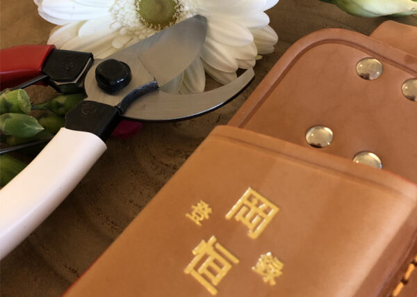 Nahkvutlar Okatsune 108