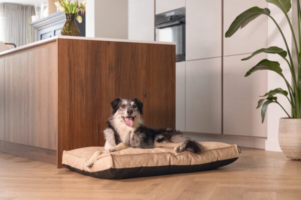 Pesa koerale Lua ortopeediline beež 100x70x h9cm