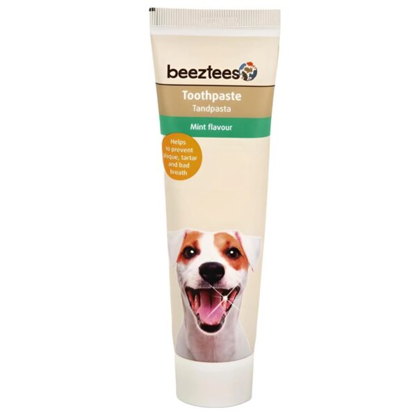 Hambapasta koertele mündimaitseline 100g