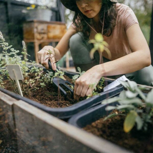 Kobesti Fiskars Solid