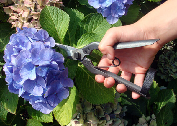 Oksakäärid Okatsune 207 must 19cm