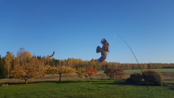 Kulli kujuline linnupeletuslohe