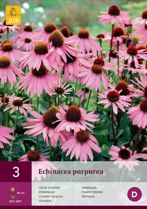 Punane siilkübar 3tk