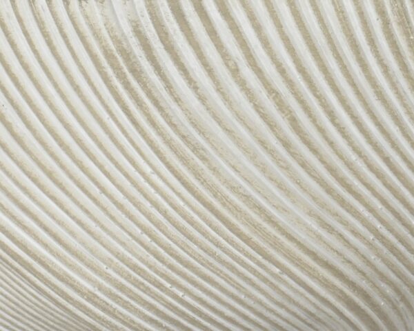 Lillepott Jade Ø44,5x h22cm beež