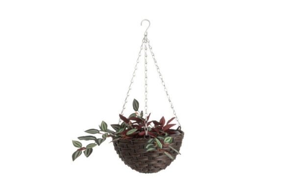 Ampelpott Chocolate Ø25x h13cm