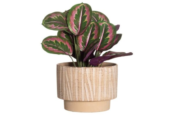 Lillepott Paralia Ø25x h19cm beež