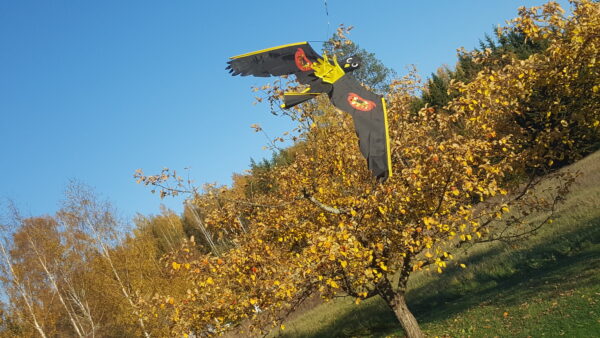 Kulli kujuline linnupeletuslohe