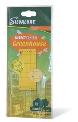 Püünispaber Greenhouse Silva 10 x 23cm kahepoolne 8tk/pakis