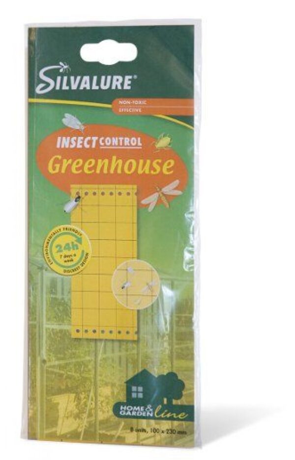 Püünispaber Greenhouse Silva 10 x 23cm kahepoolne 8tk/pakis