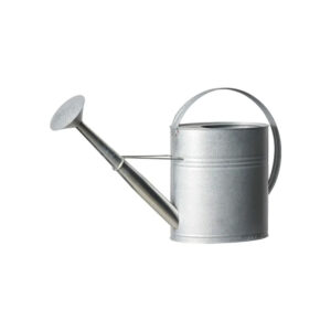 Kastekann Alvin tsink 10L