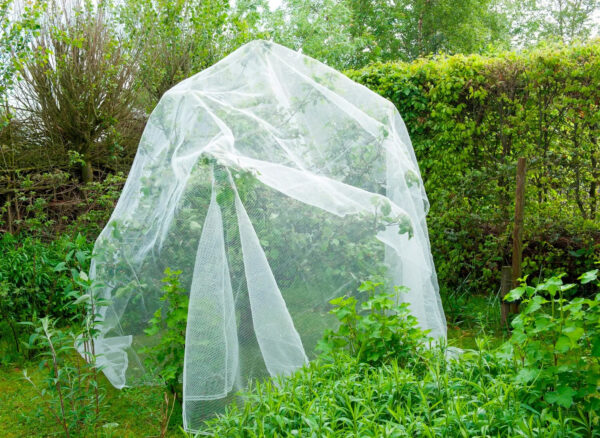 Putukavõrk Nature valge 3x6mm 5,2x5m