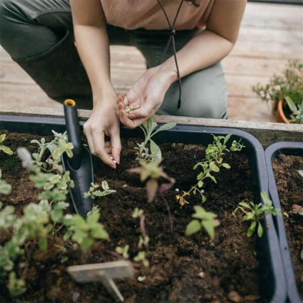 Istutuskühvel Solid Fiskars