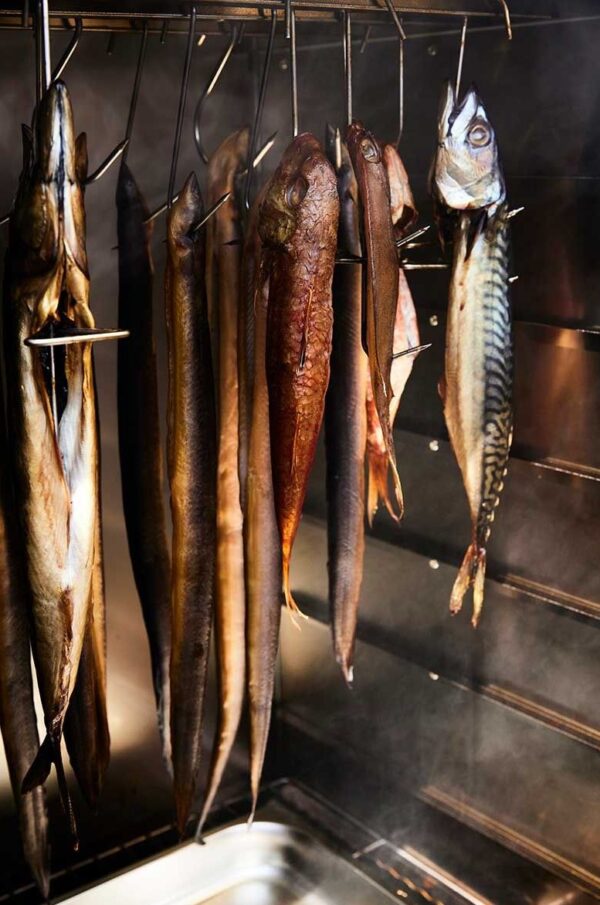 Suitsuahi digitaaljuhtimisega Borniak UWDW-150 WiFi