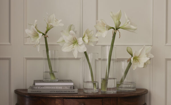 Vaas Cylinder klaas läbipaistev Ø10x h25cm