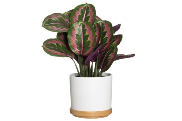 Lillepott Rimma Ø22x h20cm värvivalik 1tk