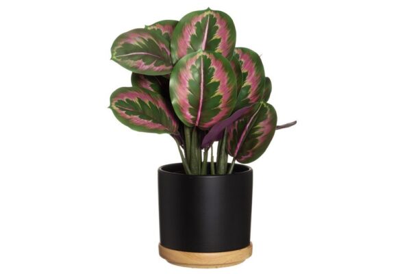 Lillepott Rimma Ø22x h20cm värvivalik 1tk