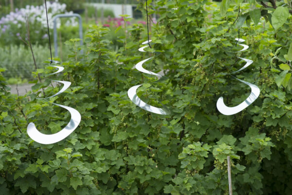 Lindude peletaja Spiral 25cm 3tk