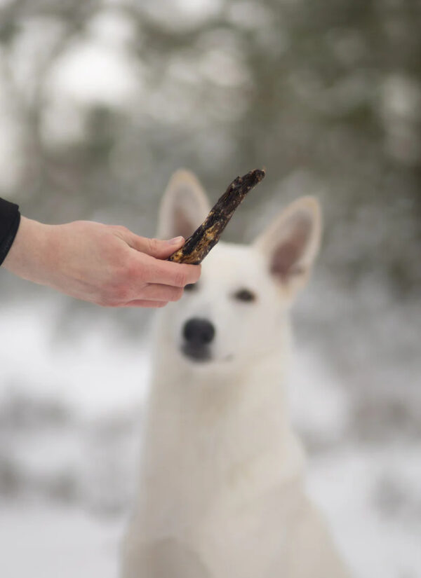 Pala maiustus koerale hanekael 100g