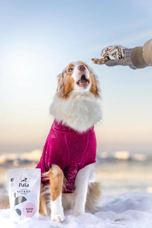 Pala maiustus koerale hanekael 100g