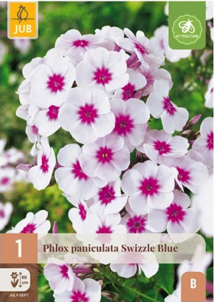 Aed-leeklill ‘Swizzle Blue’ 1tk