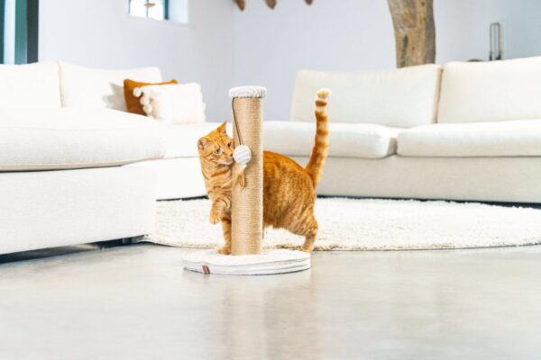 Kraapimispuu Ribbed mänguasjaga helehall Ø35x h50cm