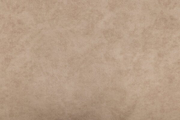 Pesa koerale Lua ortopeediline beež 100x70x h9cm