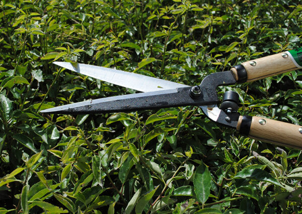 Hekikäärid Okatsune 205-K 17,5cm