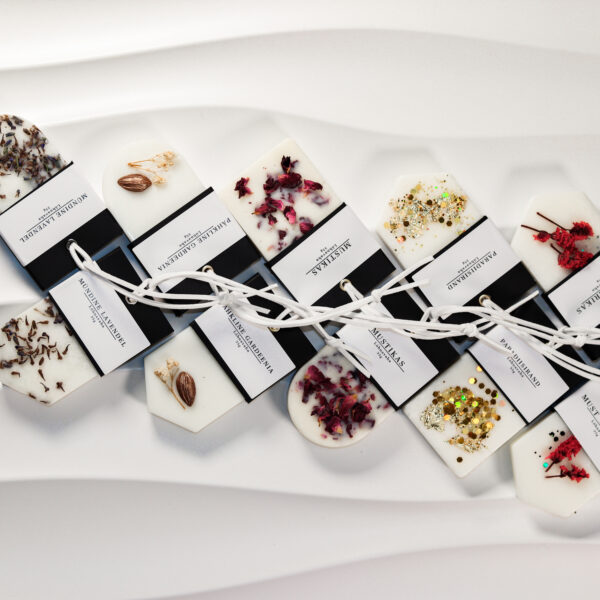 Lõhnavaha Värske Ookean 35g