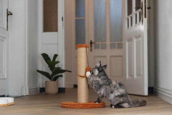 Kraapimispuu Ribbed mänguasjaga terrakote Ø35x h50cm