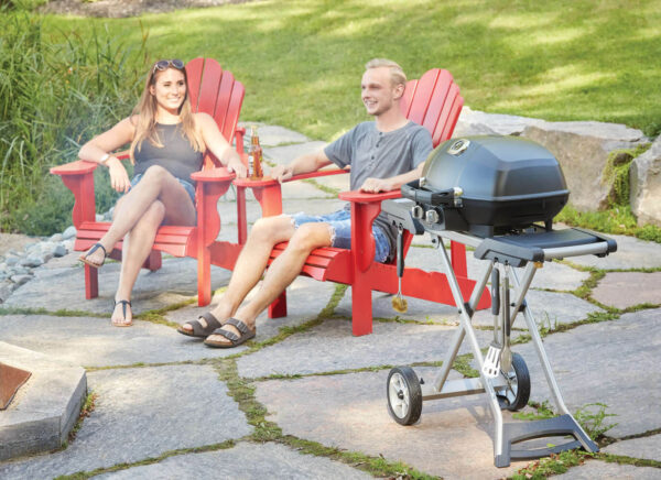 Gaasigrill Napoleon Portable TravelQ PRO285X alusraamiga