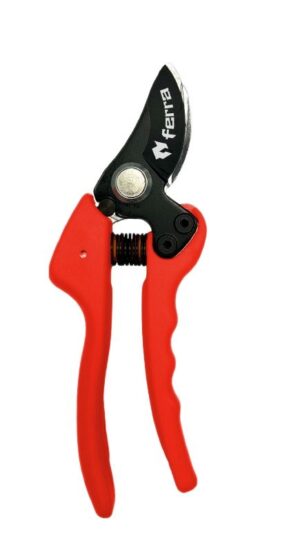 Oksakäärid Ferra vaheliti teradega S