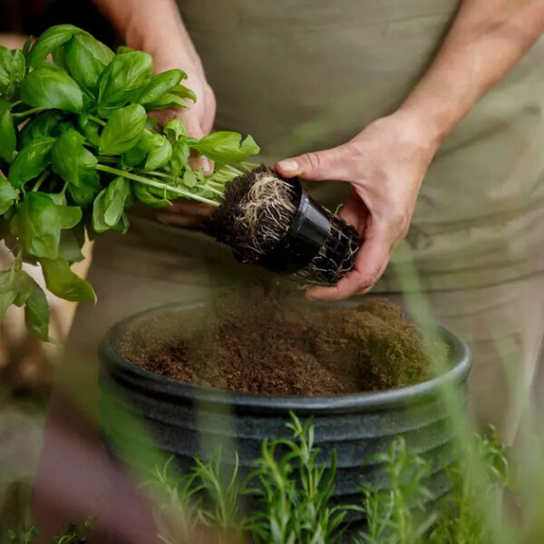 Kekkilä ürdimuld mahe 4L