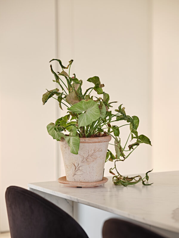 Savipott Soleto Ø24x h20,5cm terrakota