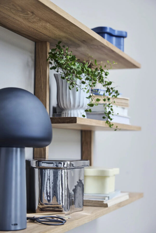 Karp kaanega Brime hõbe 20x15,6x h15cm