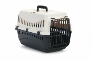 Transpordipuur Gypsy kreem/hall 46x31x h32cm