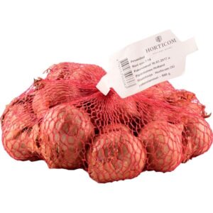 Šalottsibul ‘Red Sun’ 500g