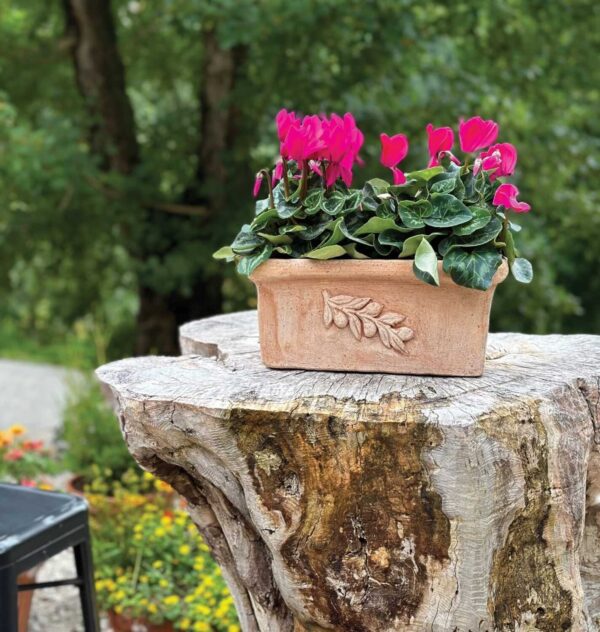 Savipott Galante 40x19x h15cm terrakota