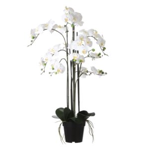Kunstlill Phalaenopsis potis kreem- Ø19x h97cm