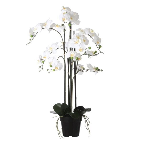 Kunstlill Phalaenopsis potis kreem- Ø19x h97cm