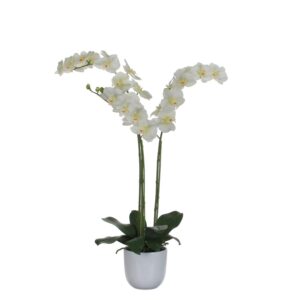 Kunstlill Phalaenopsis potis valge Ø53x h100cm