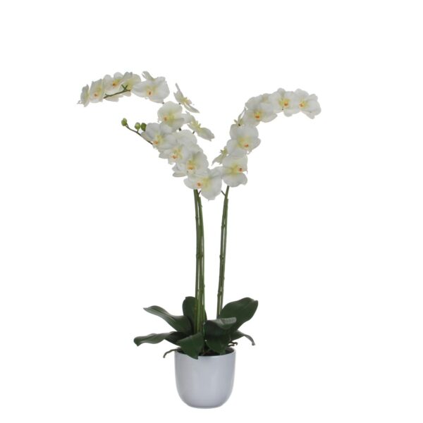 Kunstlill Phalaenopsis potis valge Ø53x h100cm