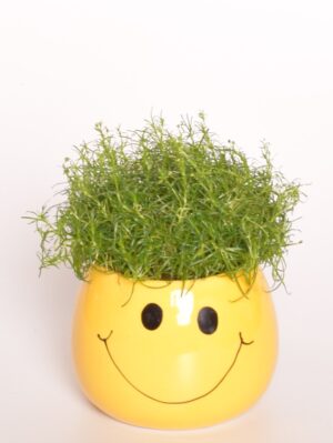 Nõeljas kesakann P6 ümbrispotis Emoji