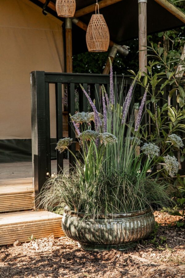 Kunstkõrreline potis valged õied Ø35x h120cm