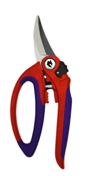 Aia -ja lillekäärid Ferra