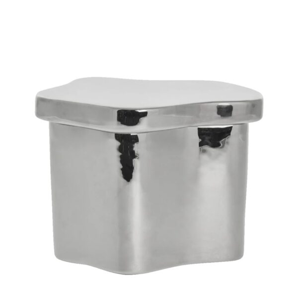 Karp kaanega Brime hõbe 20x15,6x h15cm