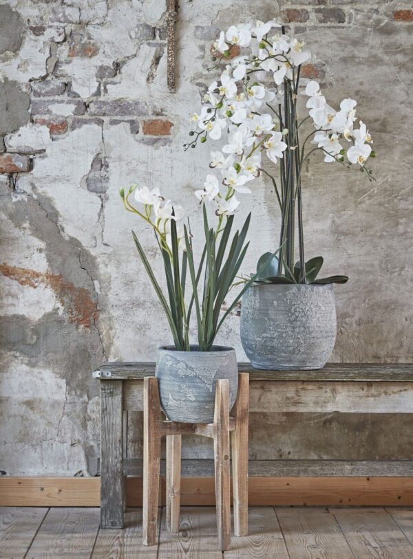 Kunstlill Phalaenopsis potis valge Ø35x h117cm